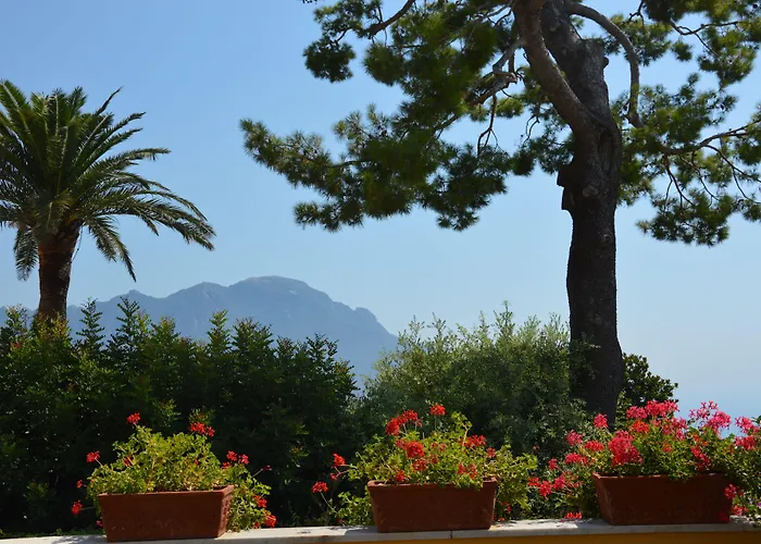 Palazzo Confalone Hotel