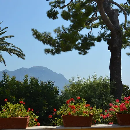 Palazzo Confalone Hotel